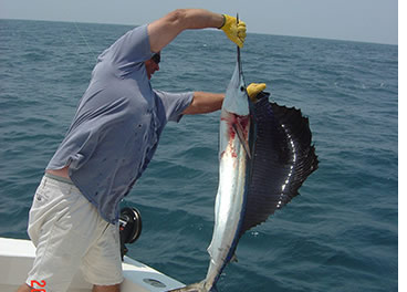 Wrightsville Beach Sail Fishing